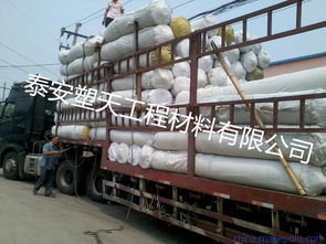 湖州土工布 國(guó)際知名品牌的卓越工程解決方案